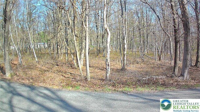 0 Pawnee Trl, Penn Forest Twp, PA 18210 - view of undeveloped land