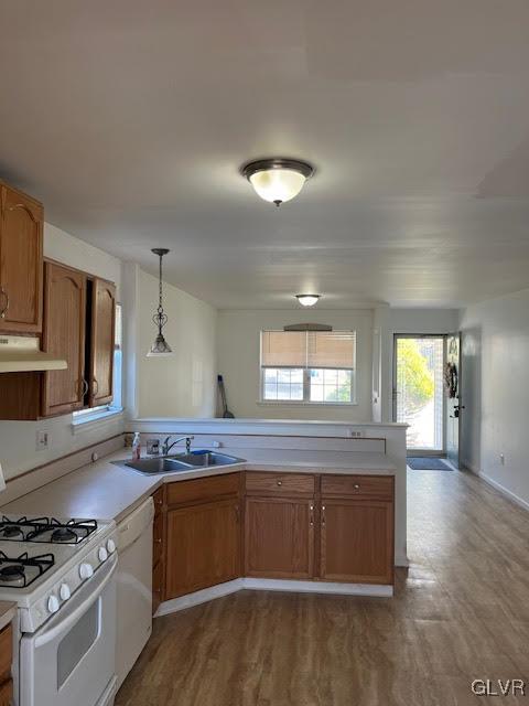 kitchen with a sink, white appliances, under cabinet range hood, and light countertops