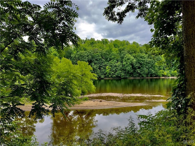 view of water feature with a view of trees