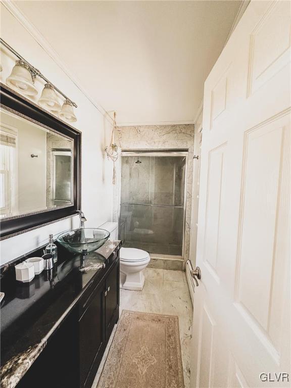 bathroom with vanity, a shower stall, and toilet