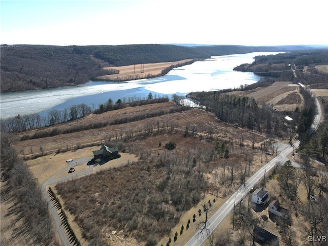 bird's eye view with a water view and a wooded view