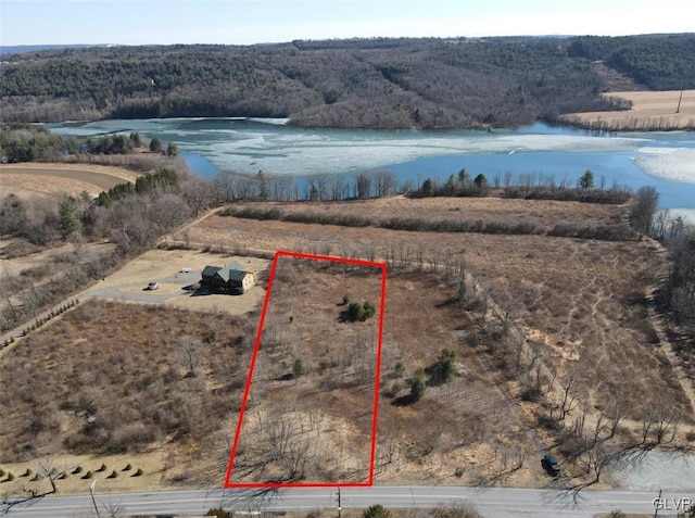 bird's eye view with a view of trees and a water view