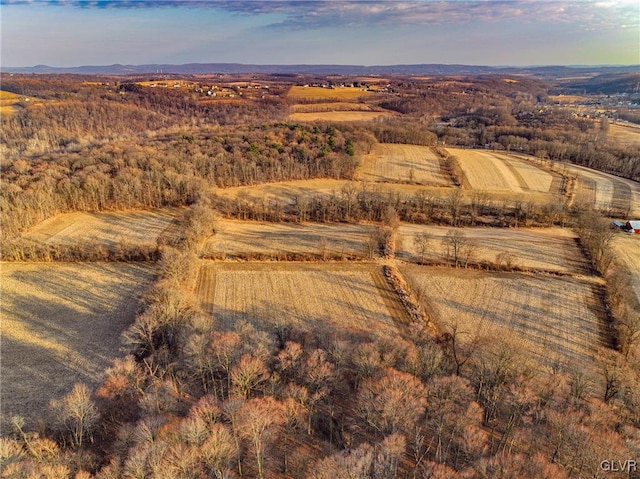 drone / aerial view featuring a mountain view and a rural view