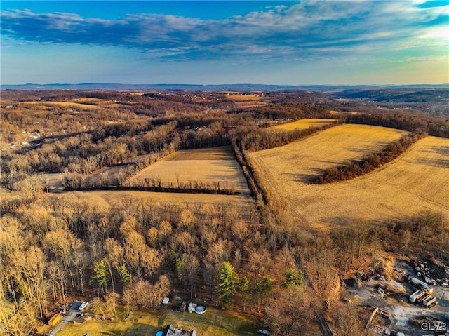 birds eye view of property featuring a rural view