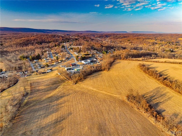 drone / aerial view featuring a mountain view