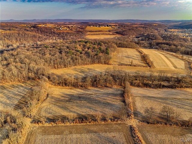 birds eye view of property with a rural view and a mountain view