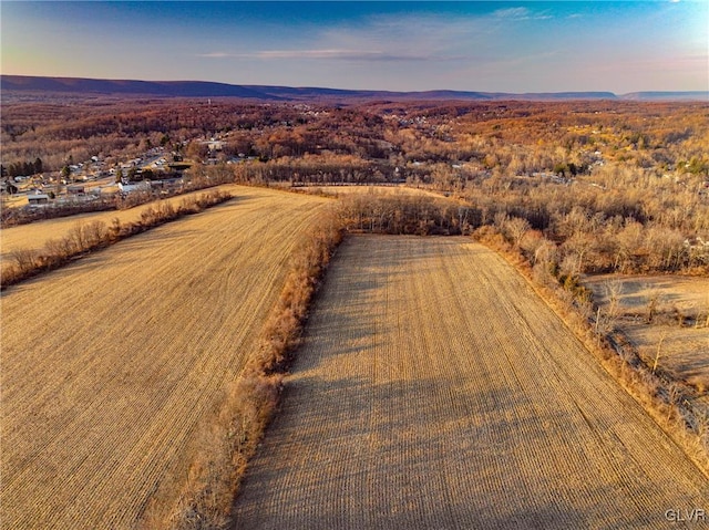 bird's eye view featuring a mountain view