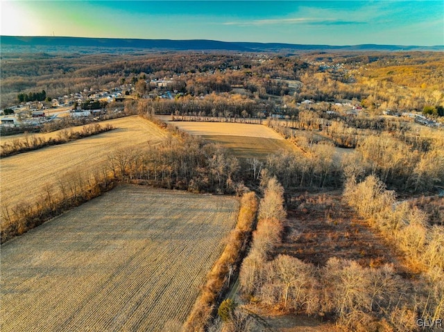 drone / aerial view with a rural view and a mountain view