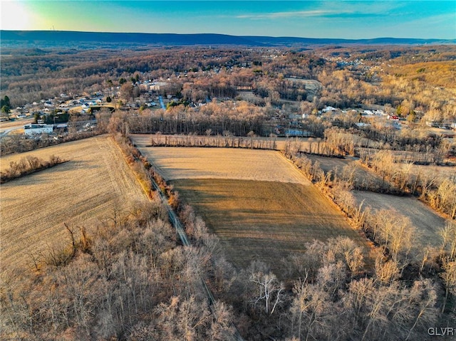 drone / aerial view with a mountain view and a rural view