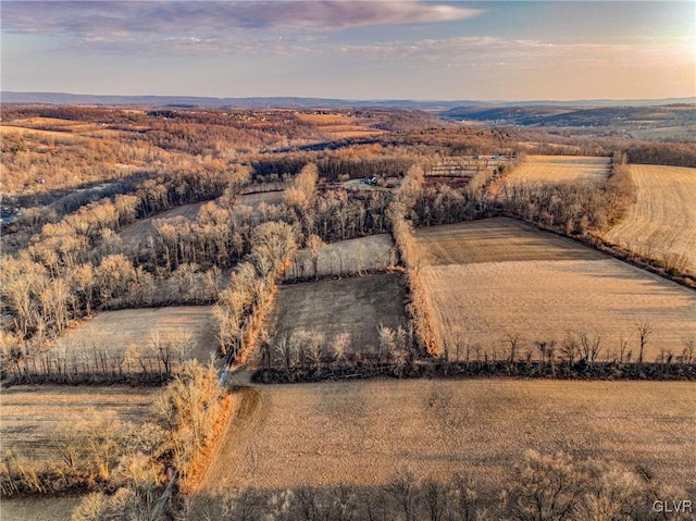 bird's eye view with a rural view