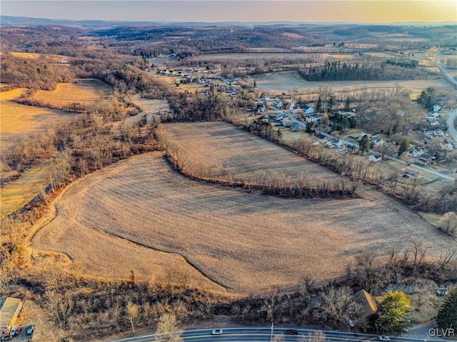 bird's eye view