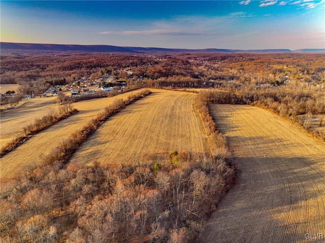 aerial view featuring a mountain view