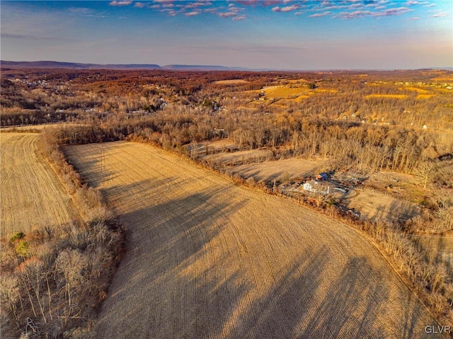 drone / aerial view with a mountain view