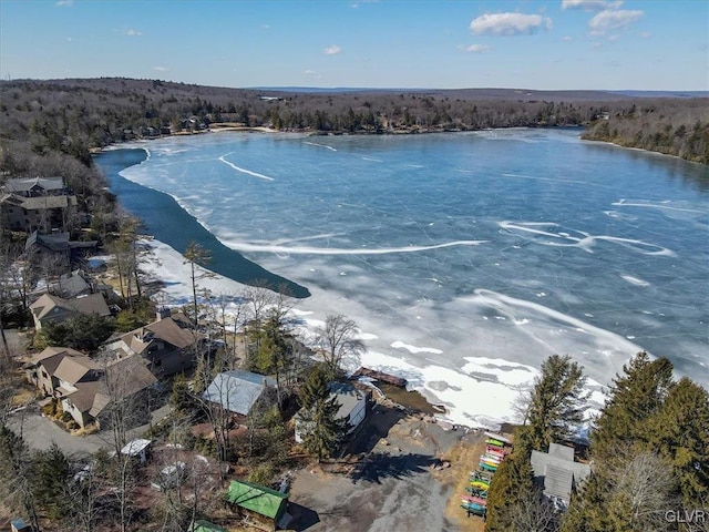 bird's eye view with a forest view and a water view