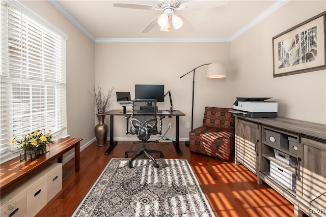 office area featuring crown molding, baseboards, dark wood-type flooring, and ceiling fan