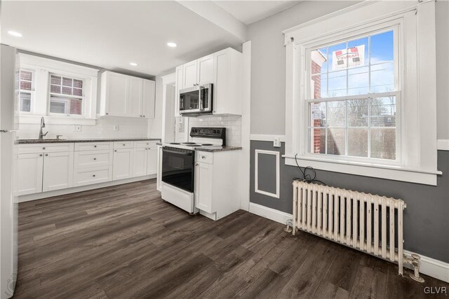 kitchen with radiator, dark wood-style flooring, a sink, range with electric stovetop, and stainless steel microwave