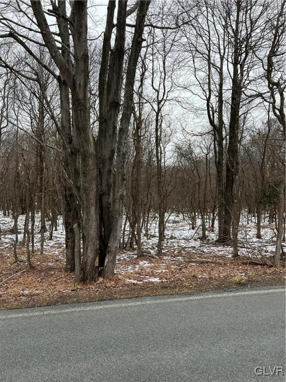 767 Hidden Lake Dr, East Stroudsburg, PA 18302 - exterior space