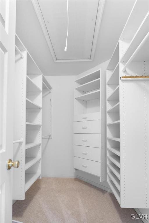 walk in closet featuring attic access and carpet flooring