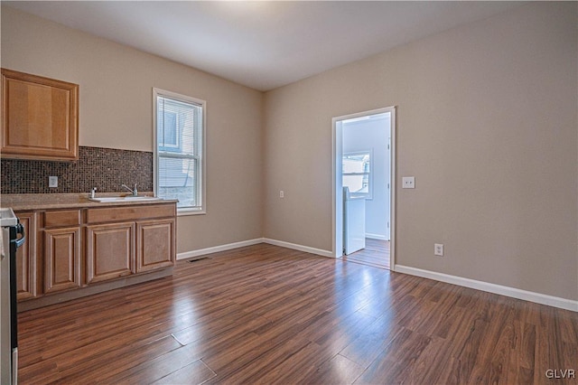 interior space with dark wood-style floors, baseboards, a wealth of natural light, and a sink