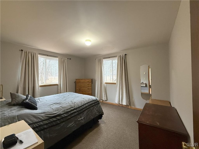 248 Penn Forest Trl, Penn Forest Township, PA 18210 - view of carpeted bedroom