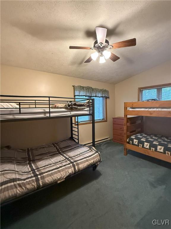248 Penn Forest Trl, Penn Forest Township, PA 18210 - bedroom featuring lofted ceiling, a ceiling fan, carpet floors, and a textured ceiling