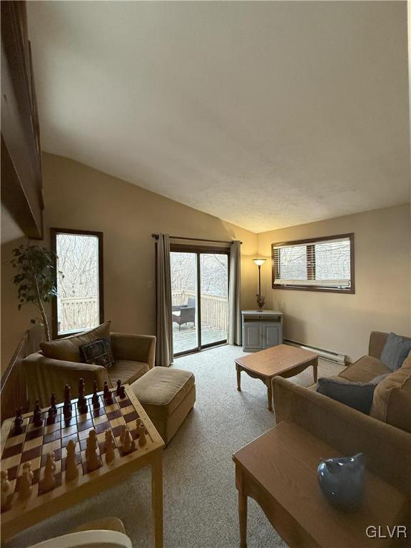248 Penn Forest Trl, Penn Forest Township, PA 18210 - carpeted living area with lofted ceiling and baseboard heating