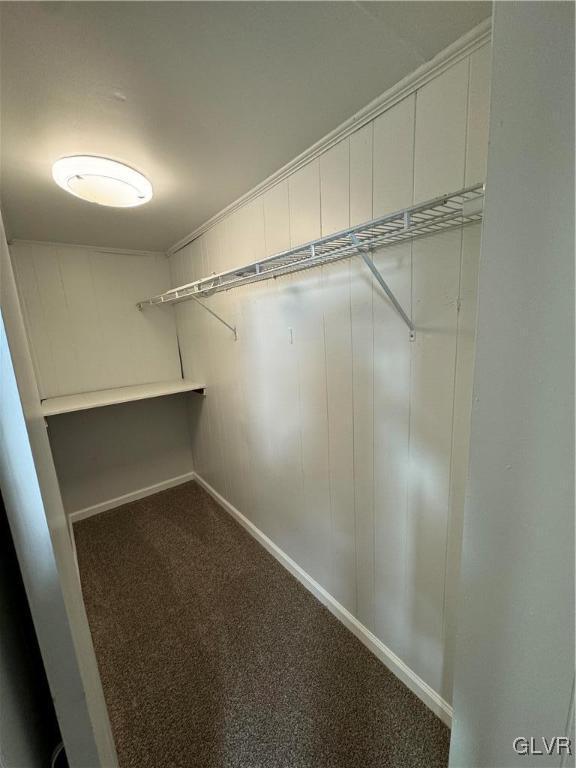 spacious closet featuring carpet flooring