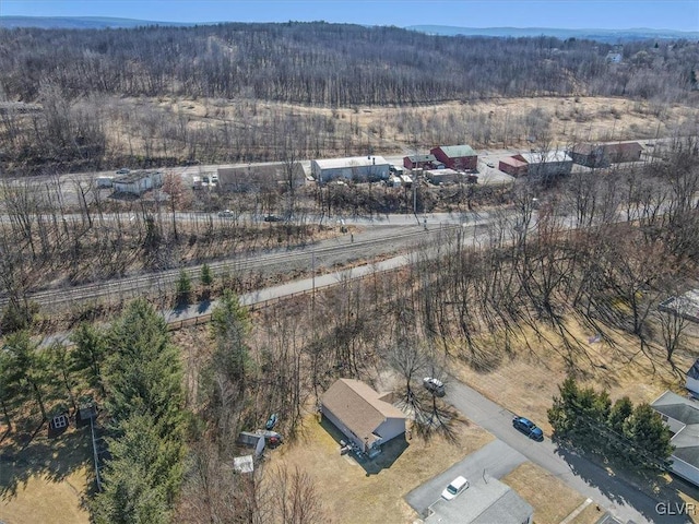 aerial view with a wooded view