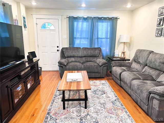 living room with light wood-type flooring