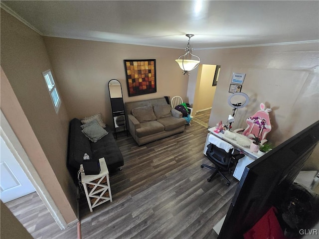 living area featuring crown molding, baseboards, and wood finished floors