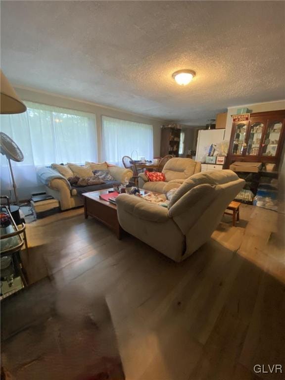 living room with a textured ceiling and wood finished floors