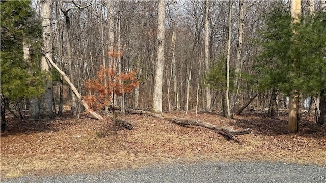 view of local wilderness featuring a forest view