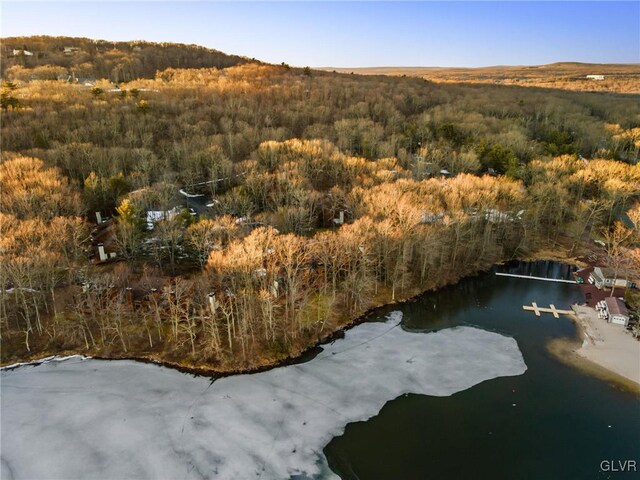 63 Ruffed Grouse Ct, Kidder Township, PA 18624 - birds eye view of property featuring a wooded view