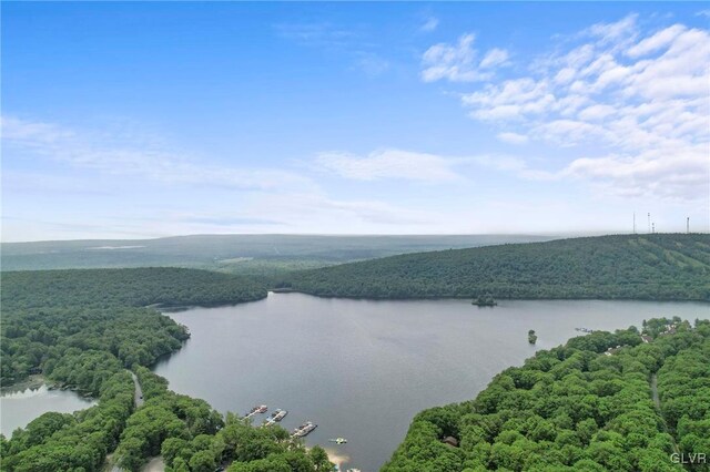63 Ruffed Grouse Ct, Kidder Township, PA 18624 - bird's eye view featuring a water view and a view of trees