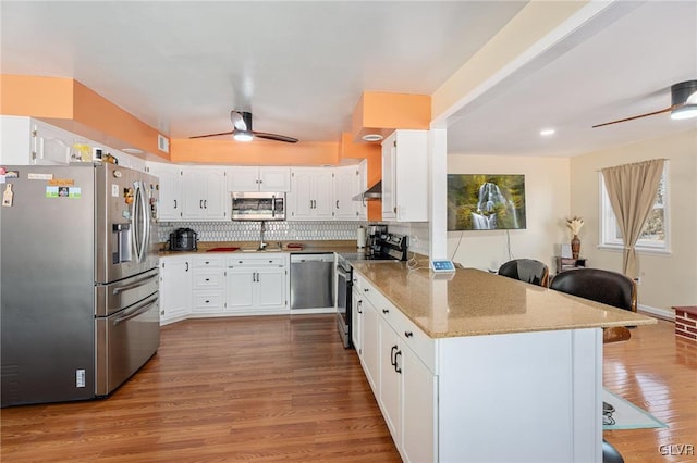 kitchen featuring a sink, stainless steel appliances, wood finished floors, and ceiling fan