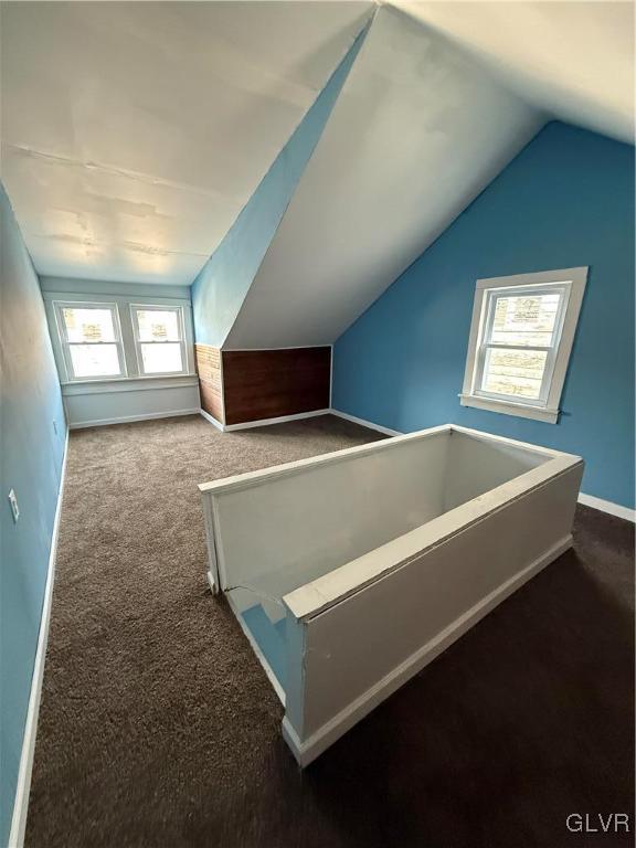 additional living space featuring baseboards, carpet, and vaulted ceiling