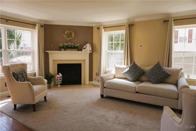 living room featuring a fireplace with flush hearth, crown molding, baseboards, and wood finished floors