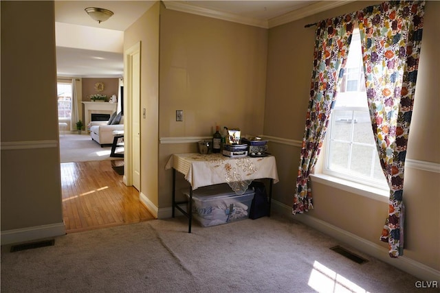 interior space featuring crown molding, baseboards, visible vents, and carpet floors