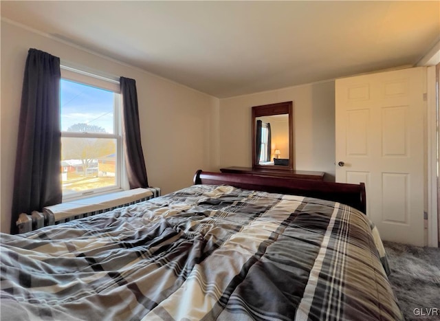 bedroom with carpet floors