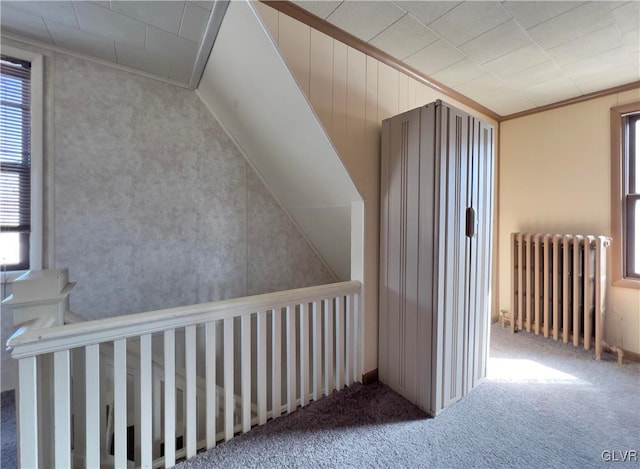 bonus room with carpet flooring and radiator heating unit