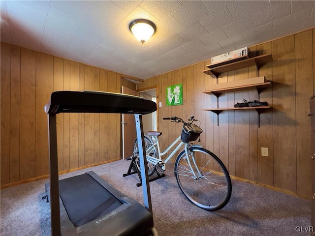 exercise area featuring baseboards and carpet flooring