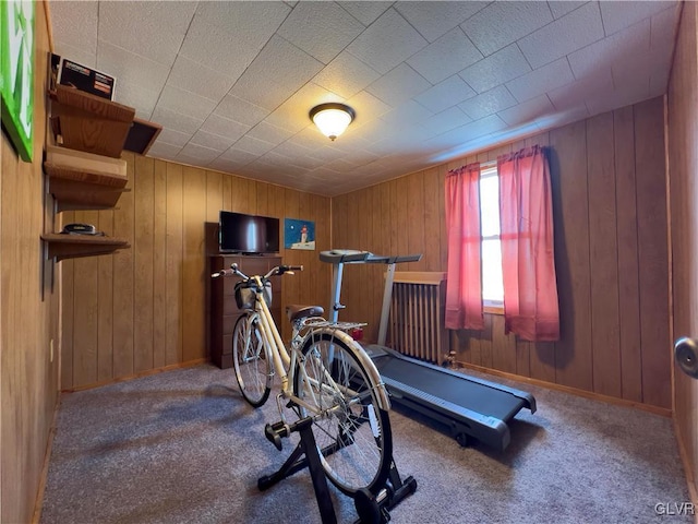 workout area with carpet flooring, baseboards, and wood walls