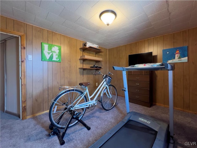 exercise area with carpet