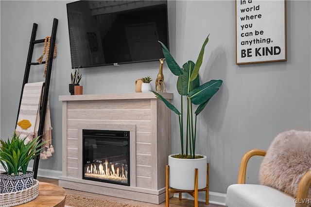 interior space with a premium fireplace, baseboards, and wood finished floors