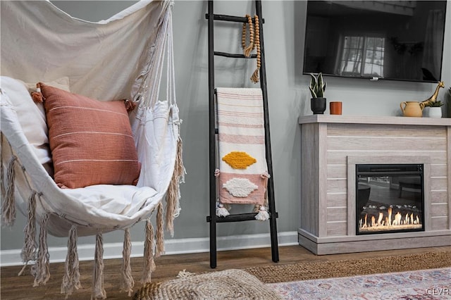 details featuring a glass covered fireplace, wood finished floors, and baseboards