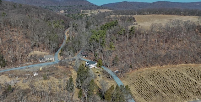 bird's eye view with a wooded view and a mountain view