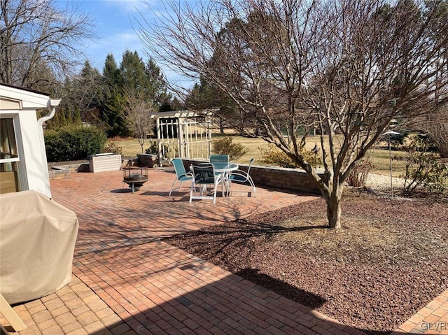 view of patio / terrace with grilling area and an outdoor fire pit