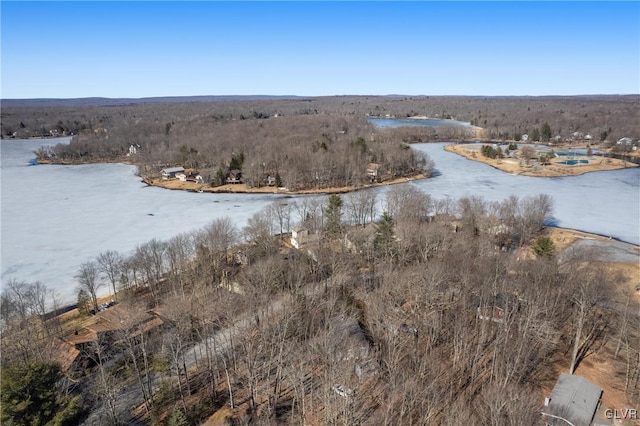 property view of water with a forest view