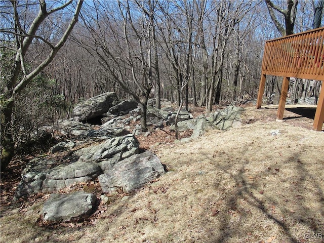 view of yard with a deck