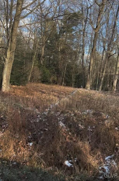 N Sycamore Dr Unit B94, Penn Forest Township, PA 18229 - view of nature